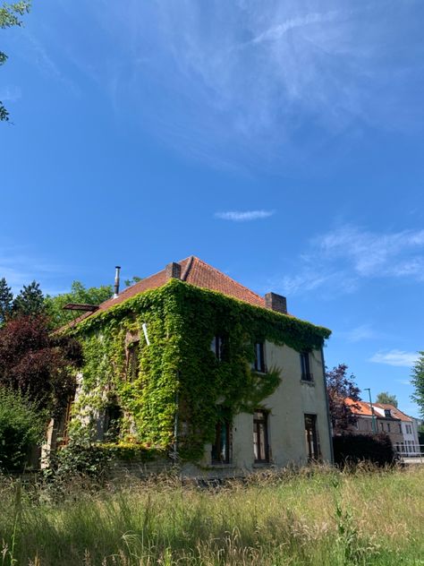 Old House With Vines, Vine Covered House, House With Vines On It, Vines On A House, House Covered In Vines, House With Vines, Visual Library, Two Story Homes, Drawing Projects