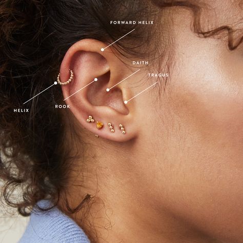 Ear Piercing Names, Top Ear Piercing, Different Ear Piercings, Types Of Ear Piercings, Cartilage Ring, Ear Piercings Helix, Helix Piercing Jewelry, Forward Helix Piercing, Helix Ear