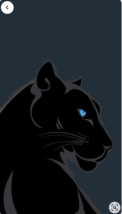 Panther Cat, Adobe Design, Design Student, Cat Illustration, Black Panther, Panther, Adobe Illustrator, You Think, Illustrator