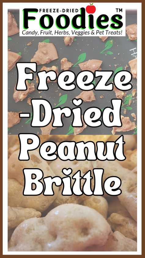 Freeze Dried Popcorn, Freeze Dried Jelly Beans, Freeze Dried Treats, Freeze Dried Desserts, Freeze Dried Candy Business, Soda Trailer, Freez Dryer, Freeze Dried Snacks, Freeze Drier