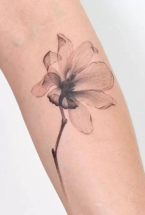 Magnolia Tatoos Tattoo Ideas, Light Gray Tattoo, Flower Shadow Tattoo, Saucer Magnolia Tattoo, Magnolia Tattoo Back, Magnolia Back Tattoo, Fine Line Magnolia Tattoo, Light Grey Tattoo, Shadow Tattoo Ideas