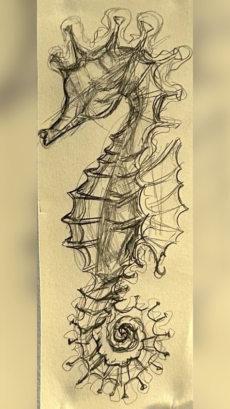 Seahorses Drawings, Sea Horse Drawings, Sea Life Sketches, Unique Sketch Ideas, Seahorse Drawings, Sea Creature Drawings, Seahorse Sketch, Sea Sketches, Ocean Sketches