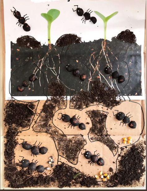 Ant Habitat Diorama, Ant Preschool Craft, Nature Crafts Kids, Bedroom Ideas Christmas, Ant Crafts, Insects Preschool, Forest School Activities, Homeschool Preschool Activities, Nature School