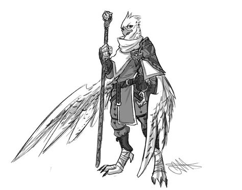 [Commission] Aarakocra Cleric by Skyserpent on DeviantArt Aarakocra Cleric, Dnd Cleric, Bird People, Pathfinder Character, Dnd Character Ideas, Fantasy Races, Dungeons And Dragons Characters, Rpg Characters, Dnd Stuff