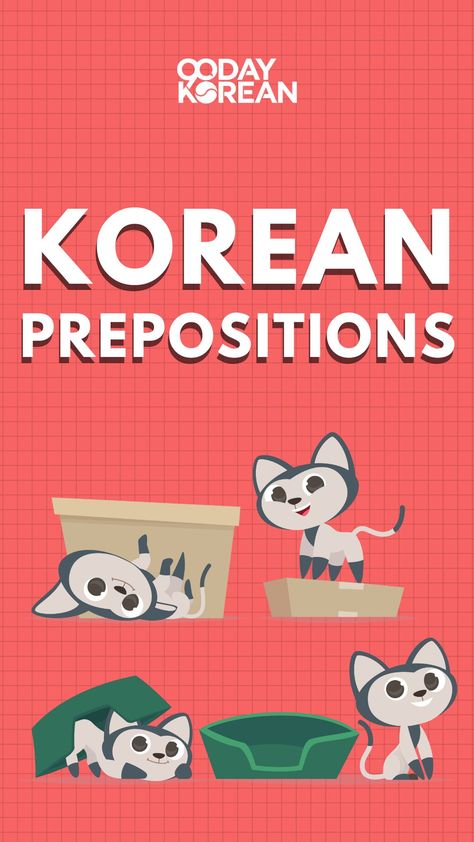 Above, under, below, and inside. What do you think these words are? If you guessed prepositions, then you're right! ✅ Our article on Korean Prepositions will teach you how the words above (and more) can be used in sentences. Check it out through the link in our bio! #LearnKorean #KoreanPrepositions #90DayKorean #KoreanWords #KoreanPhrases #KoreanVocabulary Korean Prepositions, Learning Korean, Korean Phrases, Korean Words, Learn Korean, Korean Food, The Words, Check It Out, Vocabulary