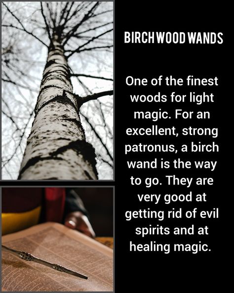 #birchwood #birchwand #birchmeaning #etsywands Wand Craft, Wand Making, Wand Woods, Wood Wand, Wooden Wand, Healing Magic, Diy Wand, Witch Craft, Light Magic