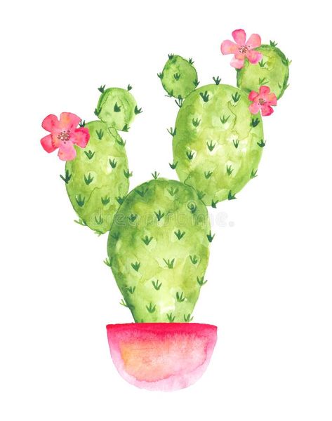 Cactus Flower Painting, Pot With Flowers, Experimental Drawing, Pink Pot, Cactus Paintings, Flowering Cactus, Cactus Drawing, Cactus Illustration, Blooming Cactus