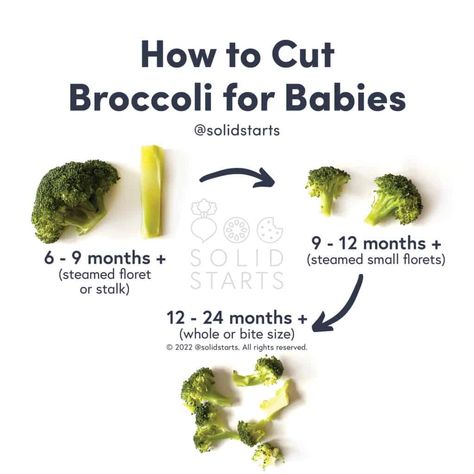 Broccoli for Babies - First Foods for Baby - Solid Starts Meals For 7 Month Old Baby, Baby Led Weaning First Foods 6 Months, First Foods For Baby, Baby Weaning Foods, Solid Starts, Cooked Broccoli, Foods For Baby, Food For Babies, Baby Led Weaning First Foods