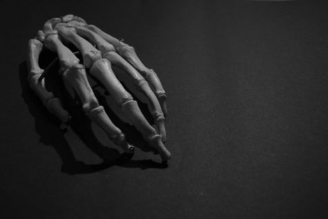 Skeleton Hand Photography, Nikon D60, Hand Photography, Skeleton Hand, Skeleton Hands, Nikon, Skeleton, Photography