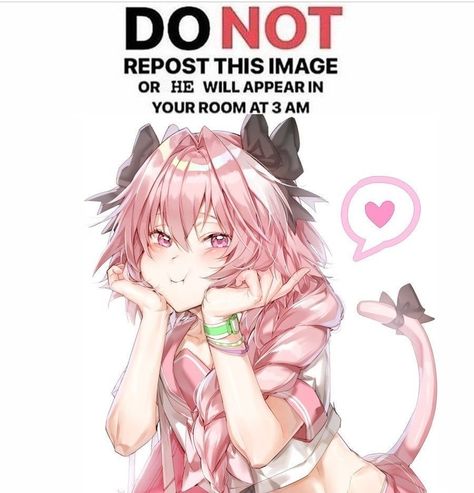 Astolfo Fate, Anime Traps, Girl Memes, Fate Anime Series, Anime Jokes, An Anime, Best Memes, Popular Memes, Dankest Memes