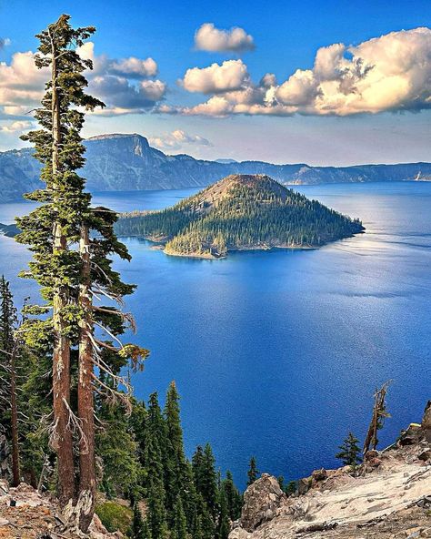 Crater Lake National Park In Oregon, USA Crater Lake Oregon, Crater Lake National Park, Venice Canals, Explore Italy, Crater Lake, Oregon Usa, U.s. States, Island Hopping, Hawaiian Islands