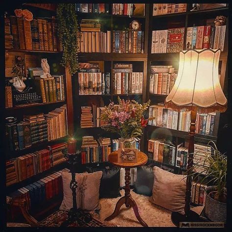 Dream Home Library, Cozy Home Library, San Myshuno, Bookshelf Ideas, Bookshelf Inspiration, Reading Space, Cozy Library, Dream Library, Library Room