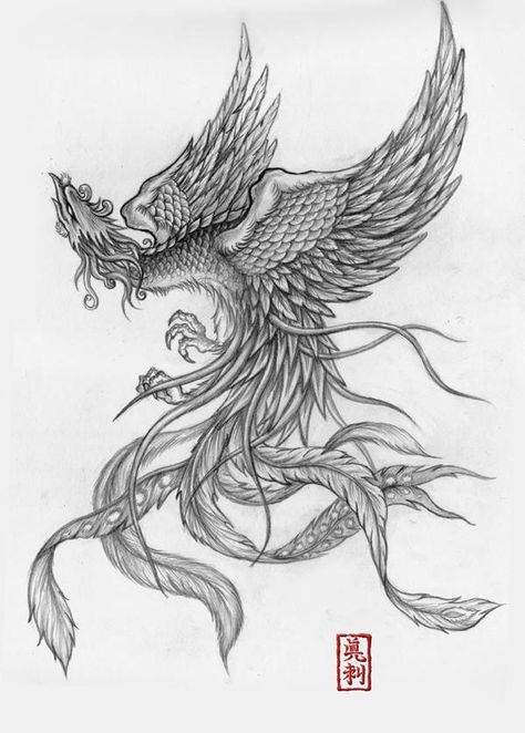 Ave Fenix Fenix Tattoo, Phoenix Drawing, Symbols Of Strength Tattoos, Phoenix Images, Cross Tattoos For Women, Phoenix Tattoo Design, Chinese Tattoo, Tattoo Style Drawings, Japanese Tattoo Designs