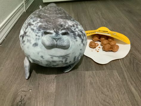 Seal Matching Pfp, Seal Pfp Icon, Seal Plushies, Chunky Seal Plush, Seal Silly, Seal Memes Hilarious, Cute Seals, Vocaloid Funny, Baby Seal