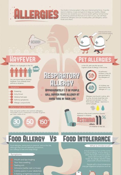 Allergy Fact Sheet Infographic Idea2 - Infographic Ideas For Healthcare Europass Cv, Scientific Poster Design, Mural Digital, Info Poster, Infographic Ideas, Infographic Examples, Scientific Poster, 잡지 레이아웃, Reka Bentuk Grafik