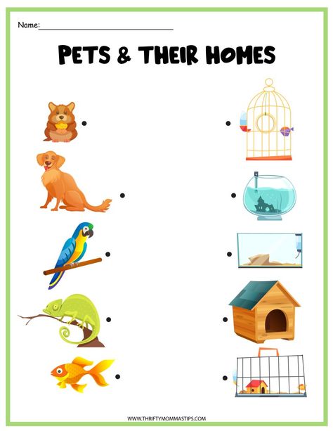 Feed The Dog Activity Free Printable, Pet Study, Guine Pig, Pet Games, Farm Animals Preschool, Animals Preschool, Animal Worksheets, Spring Coloring Pages, Tiny Turtle