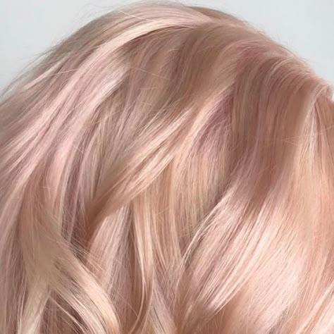 Champagne rose pink blonde hair color by Aveda Artist Haley Pirkle. Rose Champagne Hair, Pink Toner For Blonde Hair, Champagne Blonde Hair Rose Gold, Pink Blonde Hair Rose Gold, Pink Champagne Hair Color, Rose Blonde Hair, Blonde And Pink, Gold Blonde Hair, Rose Gold Hair Blonde