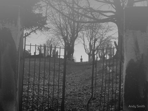 Foggy Graveyard by Andy Smith Barren Land Aesthetic, Grave Yard Aesthetic, Halloween Grunge Aesthetic, Gravestone Aesthetic, Aesthetic Cemetery, Grave Aesthetic, Graveyard Gate, Foggy Graveyard, Aesthetic Graveyard