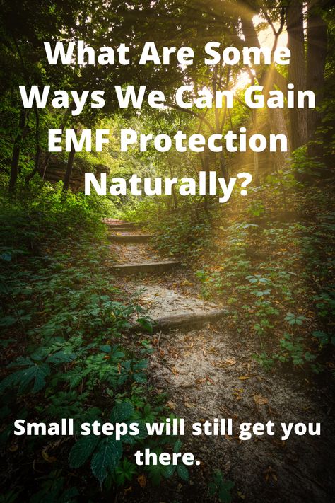 What are some ways we can gain EMF protection naturally? Are there any habits we can pick up that will help us reduce our EMF exposure? #emf #emfprotection #emfradiation #naturalemfprotection Sleeping Issues, Storm Shelter, Protect Family, Confidence Boosters, Attract Men, Emf Protection, Confidence Boost, Skin Care Tips, Did You Know