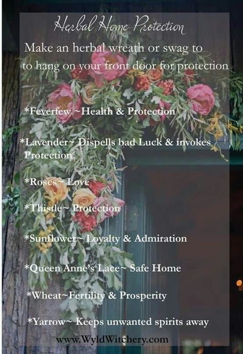 Magickal Herbs, Green Witchcraft, Eclectic Witch, Magical Herbs, Wicca Witchcraft, Home Protection, Wiccan Spells, Queen Annes Lace, Practical Magic