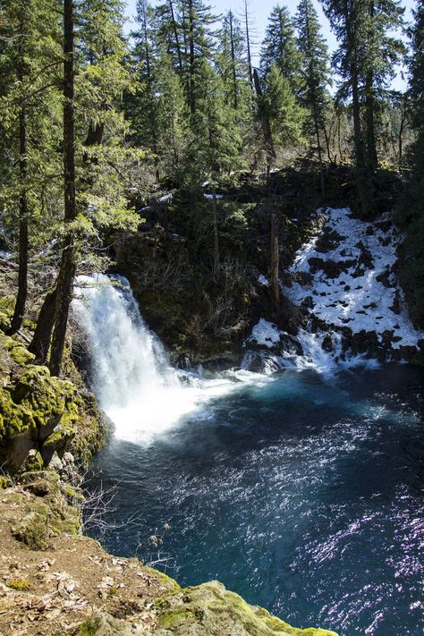 Tamolitch Falls and the Blue Pool, Oregon Tamolitch Blue Pool Oregon, Blue Pool Oregon, Washington Adventures, Pnw Hiking, Adventure List, Oregon Nature, Oregon Girl, Oregon State Parks, Oregon Vacation