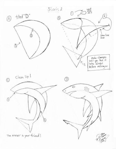 How to draw a shark. Sweet! How To Draw A Shark, Draw Sea Animals, Draw A Shark, Draw Sea, Shark Drawing, Shark Art, Sky Tree, Concentric Circles, Fish Drawings