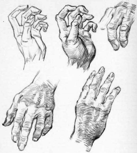 drawing old peoples hands Draw Wrinkles, Hand Reaching Out Drawing, Drawing Wrinkles, Hands On Face, Andrew Loomis, Fan Drawing, How To Draw Steps, Drawing Heads, Hand Drawing Reference