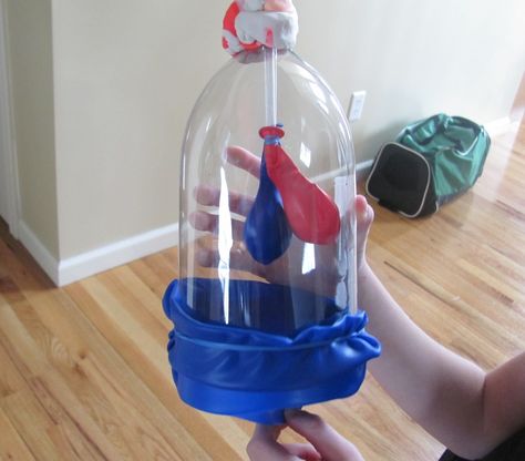 “model lungs" made by make it snappy on DIY. Lung Model, Science Fair Experiments, Biology Projects, System Model, Like Art, Preschool Science, New Skills, Respiratory System, Science Experiments Kids