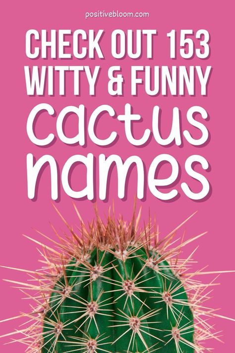 Check Out 153 Witty And Funny Cactus Names! Cactus Quotes, Cactus Names, Funny Cactus, Name Quotes, Plants Quotes, Grow Instagram, Instagram Names, Funny Names, Clever Quotes