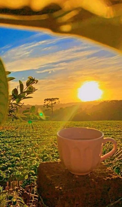 Ram Wallpaper, New Earth, Fantasy Landscape, Beautiful World, Planets, Good Morning, Cafe, In This Moment, Tea