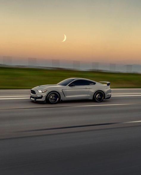 Mustang 5.0, Mustang Photoshoot, Mustang Aesthetic, Silver Mustang, The Life I Want, Mustang Gt350, Future Vehicles, How To Prioritize, Life I Want