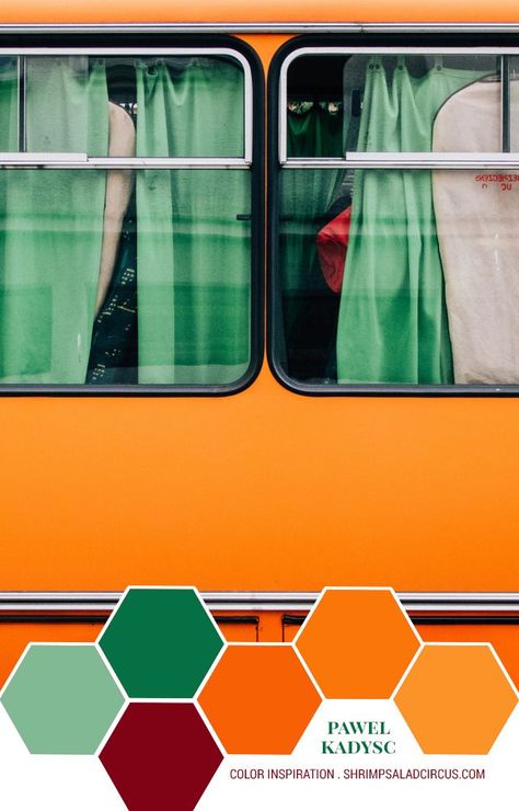 Orange Color Palettes, Green Inspiration, Mobile Boutique, Jaune Orange, Brand Color Palette, Green Colour Palette, Tropical Colors, Trendy Home, Train Travel