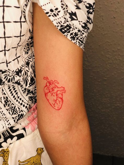 Atomically Correct Heart Tattoo, Heart Tattoo Inner Arm, Listen To Your Heart Tattoo, Elastic Heart Tattoo, Anatomically Correct Heart Tattoo, Small Red Heart Tattoo, Tattoo Inner Arm, Tattoo Above Knee, Red Heart Tattoo