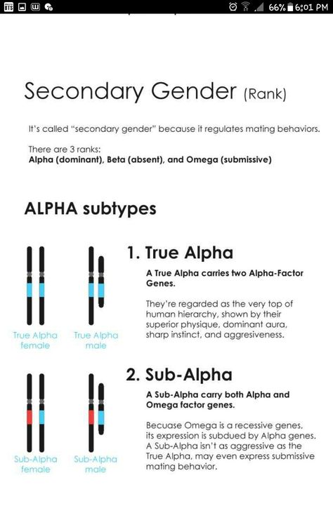 Alpha Omega Prompts, Writing Omegaverse, Omegaverse Anatomy, Omegaverse Guide, Omegaverse Explanation, Omegaverse Prompts, Alpha Beta Omega Dynamics, Omega Verse, Writing Expressions