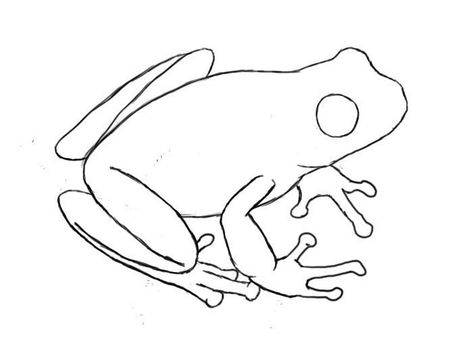 Drawing A Frog, Draw A Frog, Frog Sketch, Frog Illustration, Frog Drawing, Bleach Art, Frog Art, Hand Painted Stones, A Frog