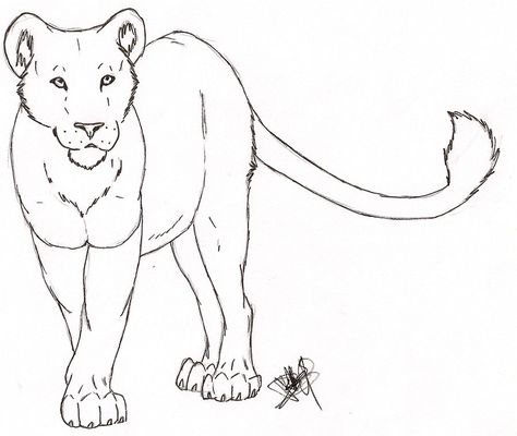 Lioness drawing Lion, Deviantart