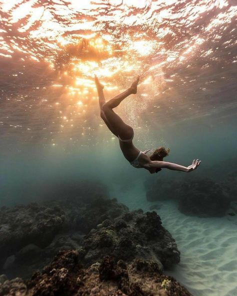 Bawah Air, Tapeta Galaxie, Underwater Photos, Ocean Vibes, Water Photography, Images Esthétiques, Ocean Lover, Summer Dream, Underwater Photography