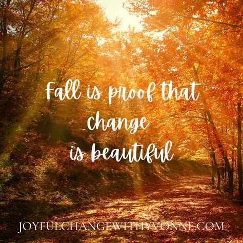 Fall Blessings, Change Is Beautiful, Change Of Seasons, Fall Stuff, Seasons Change, Autumn Quotes, Creativity Quotes, Fabulous Fall, Relief Society