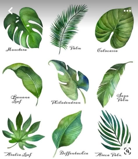 Boom Kunst, Watercolor Printable Art, Free Printable Art, Leaf Drawing, Watercolor Printable, Cafe Logo, Printable Art Prints, 수채화 그림, Tropical Leaf