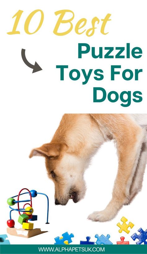 10 best puzzle toys for dogs Dog Challenge Ideas, Dog Stimulation Toys, Best Dog Toys To Keep Them Busy, Dog Mental Stimulation, Homemade Dog Toys, Toys For Dogs, Diy Dog Toys, Easiest Dogs To Train, Dog Enrichment