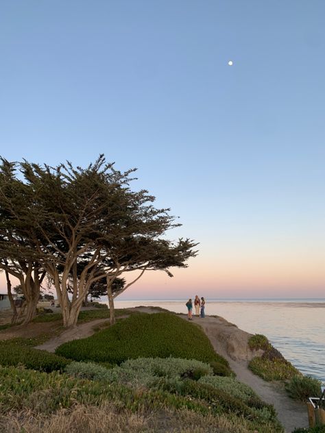 Socal Beach Aesthetic, Uc Santa Barbara Aesthetic, Ucsb College Aesthetic, Ucsb Aesthetic, Santa Barbara Aesthetic, Uc Santa Barbara, California Winter, Central Coast California, California Summer