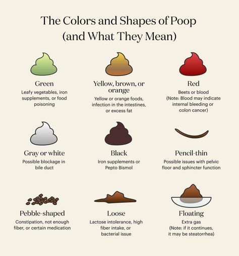 Poop Meaning, After Gallbladder Surgery, Bristol Stool Chart, Stool Chart, Pelvic Floor Dysfunction, Iron Supplement, Bile Duct, Yellow Foods, Mean Green