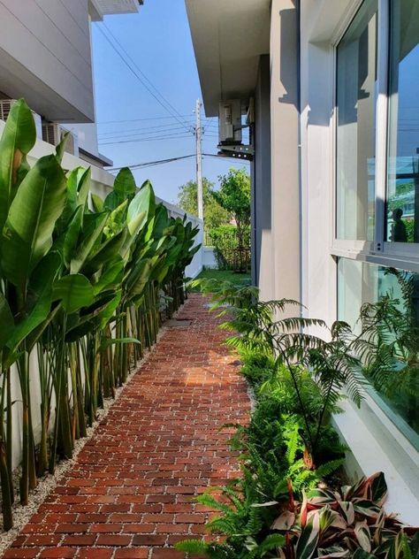 Gardening Design Diy, Fence Plants, Side Yard Landscaping, Vertical Garden Design, Tropical Garden Design, Small Courtyard Gardens, Living Fence, Pool Landscape Design, Rock Garden Landscaping