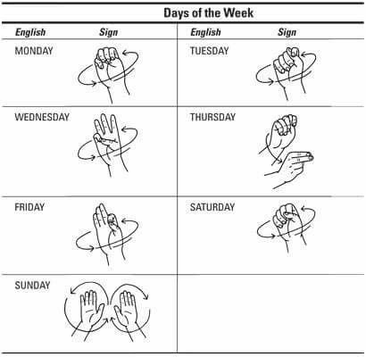 Days of the week in sign language. Asl Sign Language Words, Sign Language Chart, Sign Language Lessons, Sign Language Phrases, Sign Language Words, British Sign Language, Asl Learning, Asl Sign Language, Sign Language Alphabet