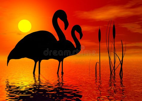 Flamingo Silhouette, Sunset Illustration, Digital Design Trends, Flamingo Painting, Sunset Silhouette, Decorated Flower Pots, Flamingo Art, Silhouette Images, Fun Easy Crafts