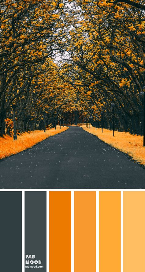 Color Inspiration : Charcoal and Yellow Mustard – Color Palette #34 1 - Fab Mood | Wedding Colours, Wedding Themes, Wedding colour palettes Mustard Color Palette, Wedding Colour Palettes, Fab Mood, Mood Wedding, Wedding Colours, Wedding Colour, Colour Inspiration, Colour Palettes, Colour Scheme