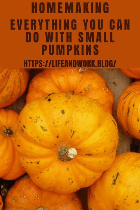 Everything You Can Do With Small Pumpkins How To Cook Mini Pumpkins, Baked Mini Pumpkins, What To Do With Mini Pumpkins, Small Pumpkin Recipes, Mini Pumpkin Recipes, What To Do With Pumpkins, When To Plant Strawberries, Edible Bowl, Make A Candle