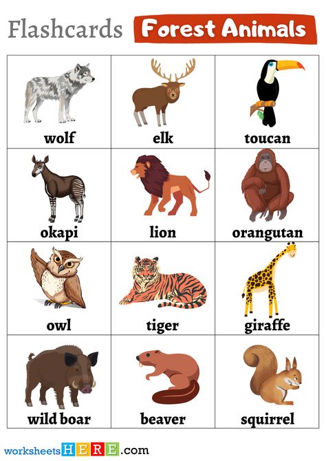 +45 Forest Animals Names with Pictures Flashcards PDF Worksheets For Students Verbs Kindergarten, Picture Of Animals, Animals Name With Picture, Animals In The Forest, Animals Name In English, Animal Collective, Howler Monkey, Color Flashcards, Nouns And Adjectives