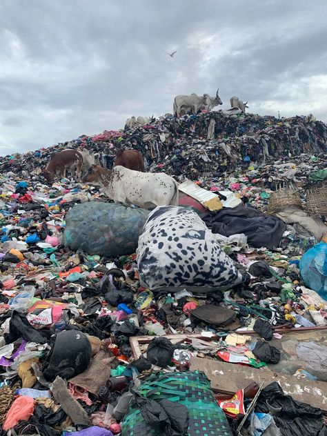 Fast Fashion Environmental Impact, Stop Fast Fashion, Anti Consumerism, Waste Clothing, United Nations Environment Programme, West African Countries, Textile Waste, British People, Environmental Damage