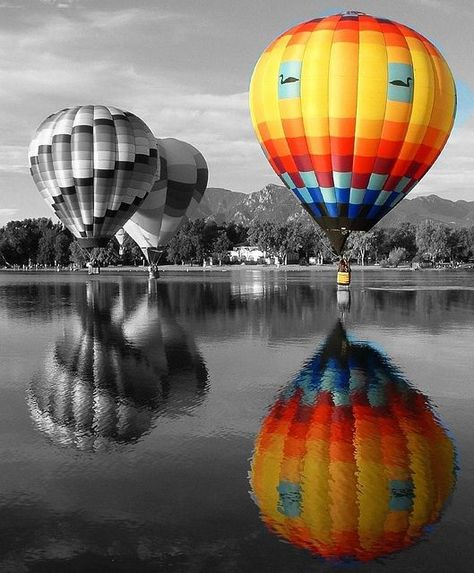 Color Splash Balloons | Black and white hot air balloons and coloured one. #photography #black Selective Color Photography, Color Splash Photo, Color Splash Photography, Splash Photography, Hot Air Balloons, Negroni, White Picture, Air Balloons, Jolie Photo